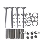 一汽哈轻小解放YND485气门组合件